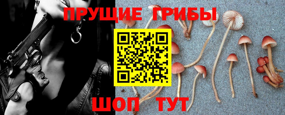 Галлюциногенные грибы ЛСД Барнаул