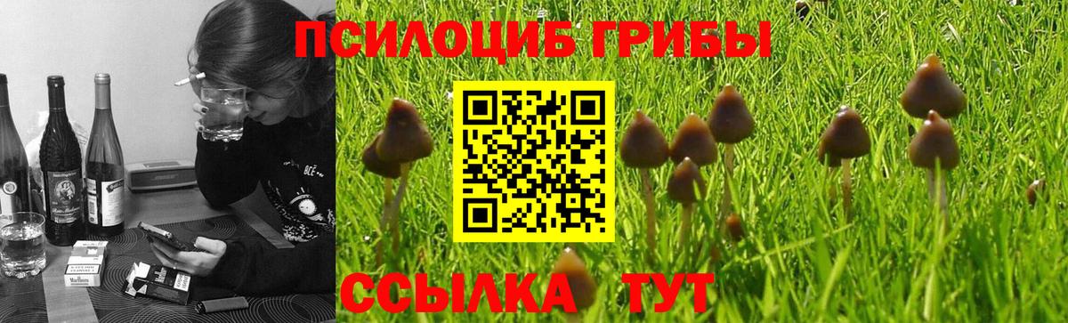 Барнаул  Галлюциногенные грибы прущие грибы  купить наркотик  Вход с VPN 